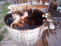 storvatt hautes alpes bain nordique